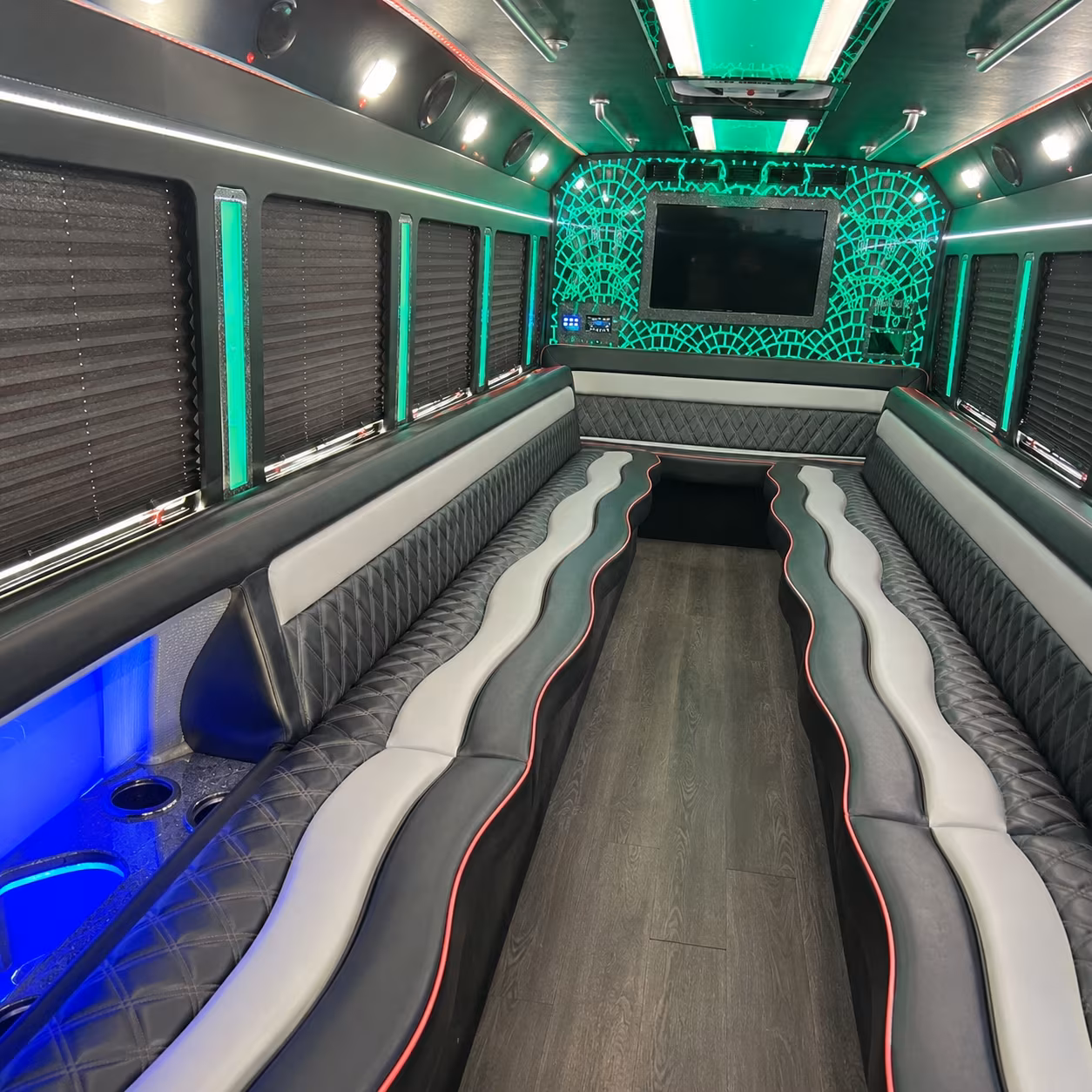 plano birthday party bus rental